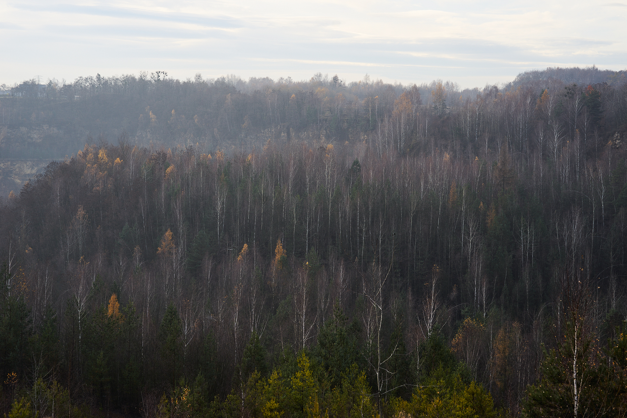 Obiektyw Voigtlander Nokton 75 mm f/1,5 do Leica M - czarny